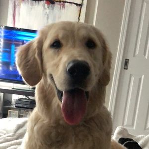 Meet your Posher, Carter